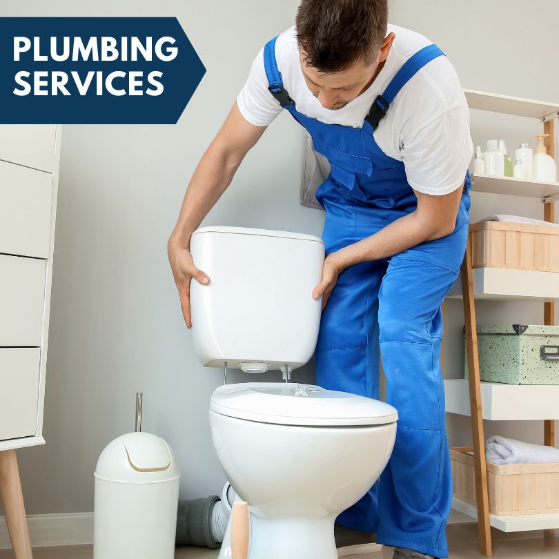 Plumbing Company in Springville, NY